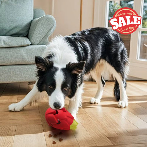 Red Pitaya Dog Toy