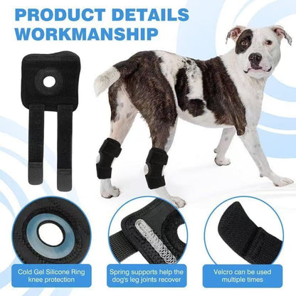 Black dog knee pads