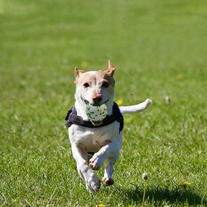 ETPU Popcorn Dog Ball