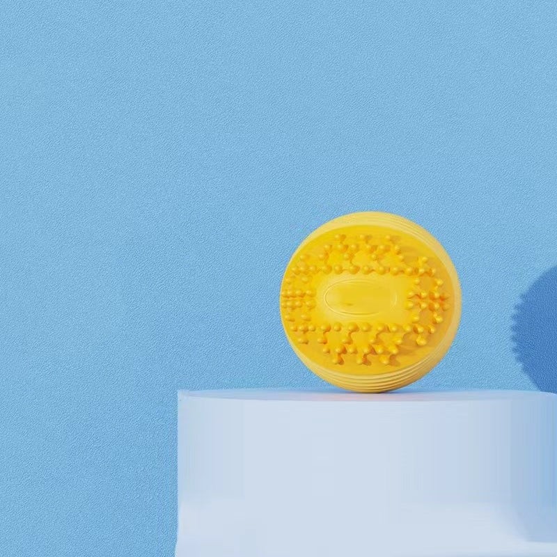 Squeaky Rugby Dog Toy