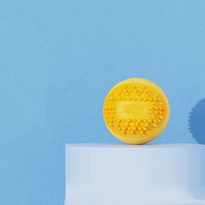 Squeaky Rugby Dog Toy