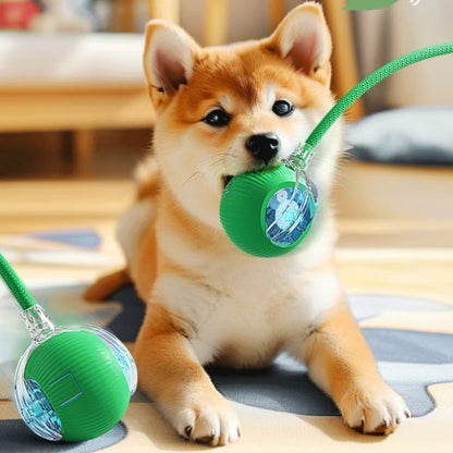Interactive Rope Pet Ball