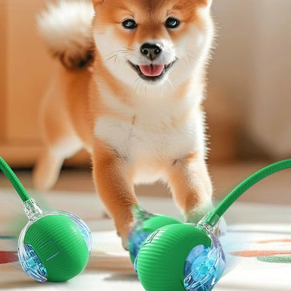Interactive Rope Pet Ball