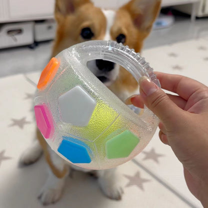 Dog interactive football toys