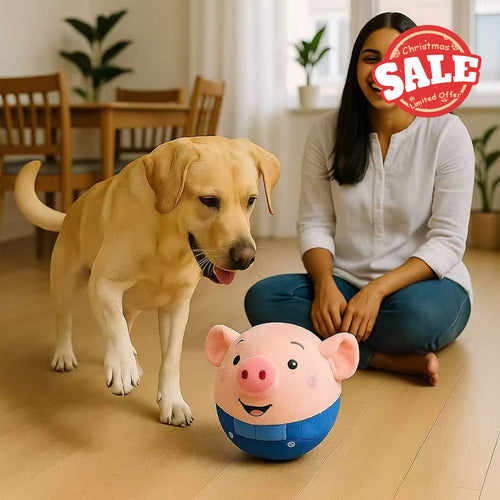 Intelligent Interactive Dog Toy