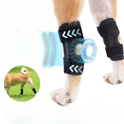 Black dog knee pads