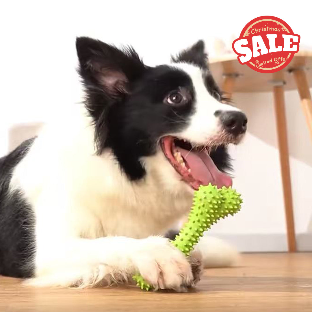 Green Spike Bone Toy
