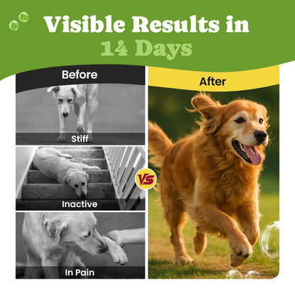 JointPup Premium Dog Joint Soft Chews (120-Count)