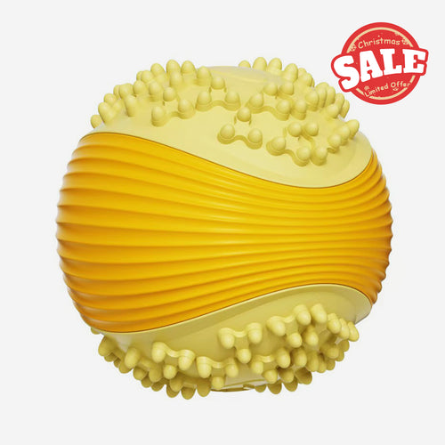 Squeaky Rugby Dog Toy