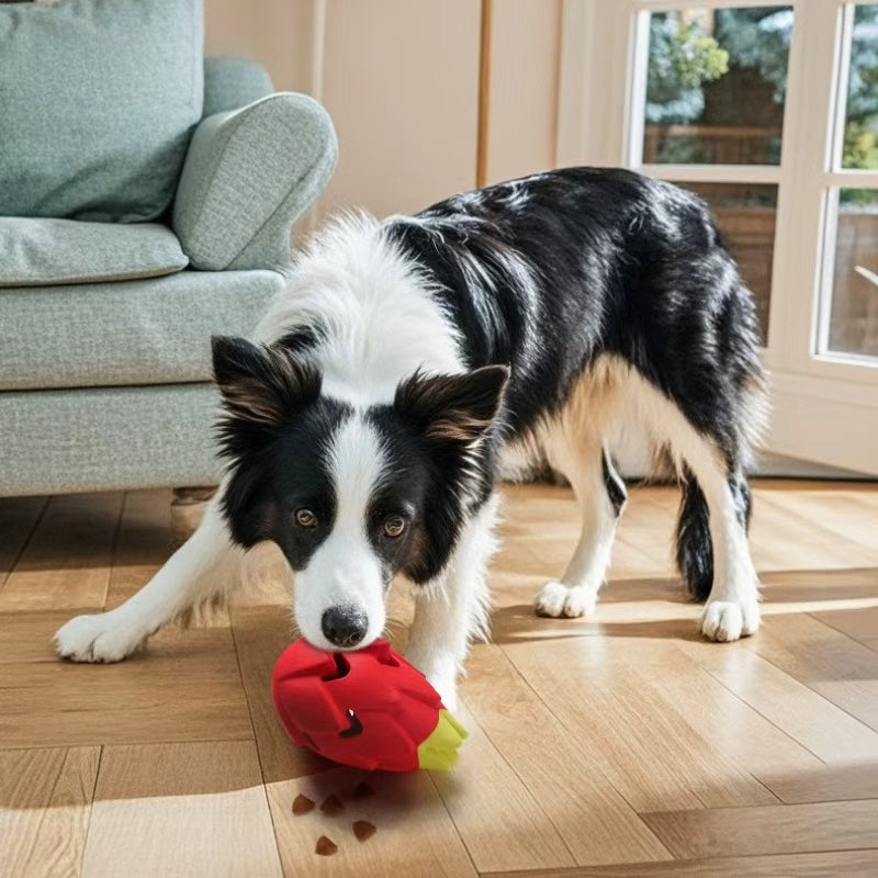 Red Pitaya Dog Toy