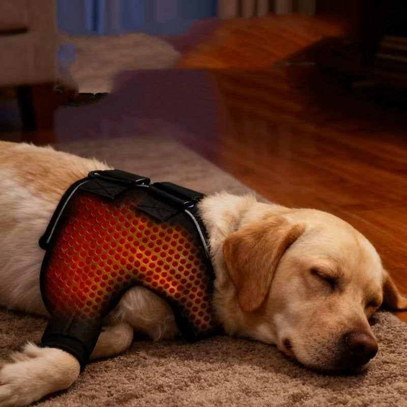 Dog shoulder protection gear